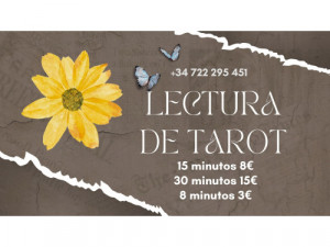 TAROT + VIDENCIA 15 minutos 8€