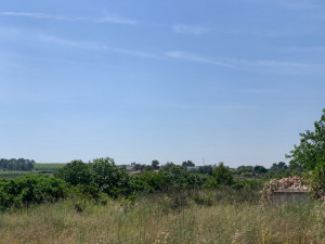 Terreno Pedralba