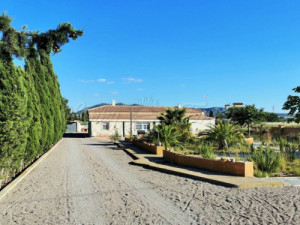 Casa-Chalet en Venta en Caudete Albacete 
