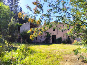 Casa de campo-Masía en Venta en Santa Coloma De Farner...