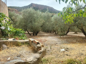 Casa de campo-Masía en Venta en Lecrin Granada Ref: co...