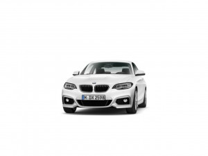 BMW Serie 2 218d coupe 110 kw (150 cv) 