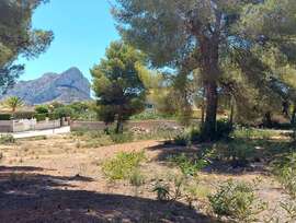 Parcela en Calpe