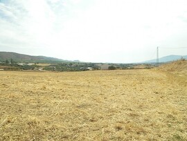 Finca en Alhaurín de la Torre