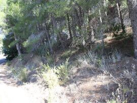 Terreno urbano y  con vistas
