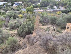 PARCELA RÚSTICA/ AGRARIA EN LA OLLA/ ALTEA