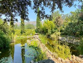 Venta de espectacular finca junto al casco urbano de Valdemanco y La Cabrera