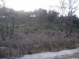 Terreno o solar en Bescanó