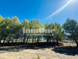 INMO ONE VALENCIA-API, VENDE FANTASTICA, UNICA, Finca Rústica en Venta en Benissa - Alicante