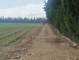 Finca rustica en venta en L'Aldea (Mas Roig)