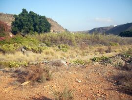 Terreno en venta cerca de Maspalomas