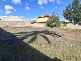 PARCELA URBANA EN RIBARROJA