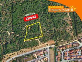 Finca Rustica en venta