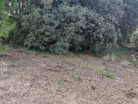 PARCELA EN SUELO URBANO EN CASTELLMOSTER (CASTELLVELL DEL CAMP) DE 815 METROS CUADRADOS