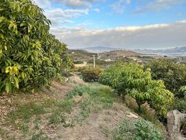 Finca de subtropicales en Motril