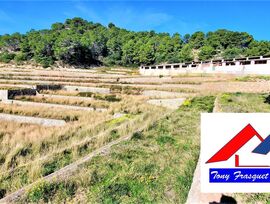 Excelente Finca Rústica  con vistas al Mar y a la Montaña.