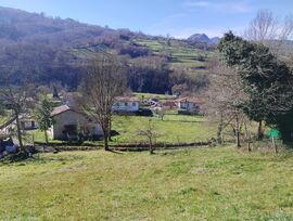 SE VENDE FINCA RÚSTICA EN LA PARTE ALTA DE SOTO DE DUEÑAS