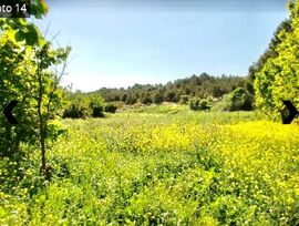 Finca rústica en Ocaña (Toledo)
