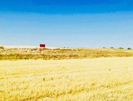 PARCELA RUSTICA, La Guardia (Toledo), a 30 km de Aranjuez