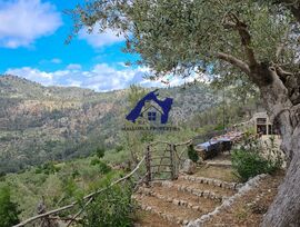Finca rústica con vistas al mar en Fornalutx.
