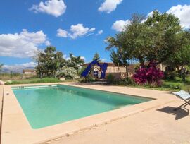 Finca rústica con piscina y viñedo!!!