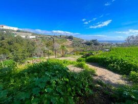 Oasis de Paz en Aguatona: Finca Exclusiva con Piscina y Vistas al Mar