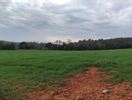 FRV-025.- Saus. Terreno rústico en venta