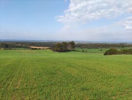 FRV-026.- Vilopriu. Terreno rústico