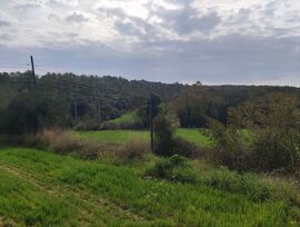 FRV-027.- Finca rústica en venta en Saus