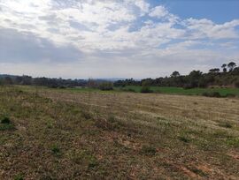 FRV-029.- Vilopriu. Terreno rústico en venta