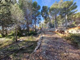 Terreno o solar en l'Albiol