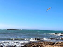 Preciosa Planta Baja con jardín junto al mar y reformada, en Ca´n Pastilla, Palma de Mallorca.