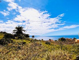 Terreno urbano en pleno casco de El Sauzal, Tenerife.