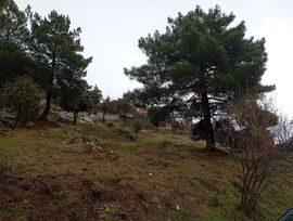 Terreno o solar en Robledo de Chavela