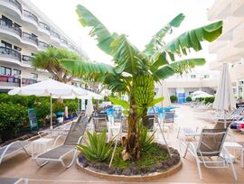 CORAL CALIFORNIA LAS AMERICAS