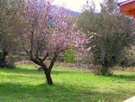 Terreno rustico con vistas al mar