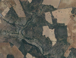 EN VENTA FINCA RUSTICA, EL BONILLO