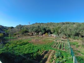 Encantadora finca rústica de 1.684 m2