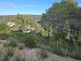 FINCA URBANO DE 1.561 M2