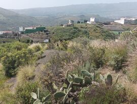 Terreno RÚSTICO AGRARIO de 2.250m2 en el PALMITAL