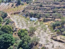 Finca con almendros y cortijo en Gualchos