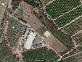 Hípica con licencias en Almenara (Castellón)