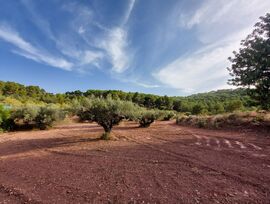 Parcela (RUSTICA) de cultivo en parque natural en Olocau