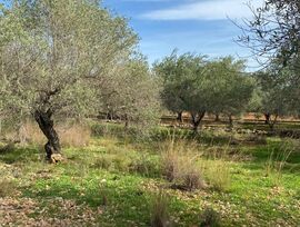 Parcela en Venta en Benicarló