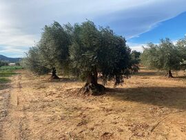 Parcela en Venta en Benicarló