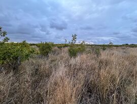 Parcela rústica de 9hn