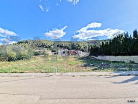 SOLAR URBANO EN LA BARRACA DE AGUAS VIVAS