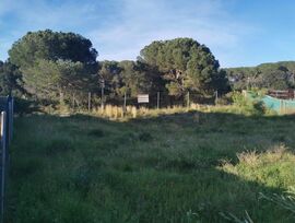 Terreno urbano en Palafrugell