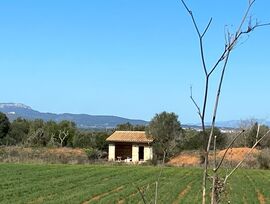 Finca Edificable en Felanitx / zona Son Buguera