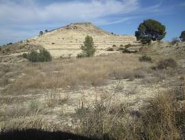Campo en Aspe pedanias